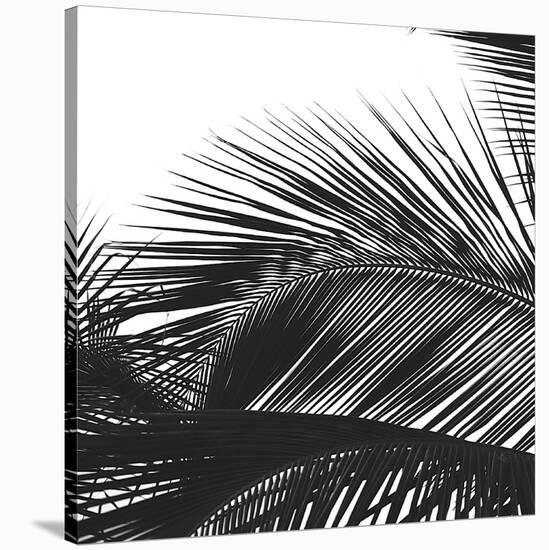 Palms 13 (detail)-Jamie Kingham-Stretched Canvas