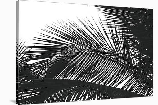 Palms 13-Jamie Kingham-Stretched Canvas