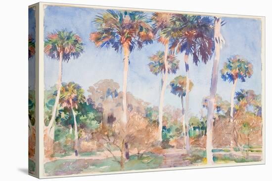 Palms, 1917 (W/C over Graphite on Paper)-John Singer Sargent-Premier Image Canvas