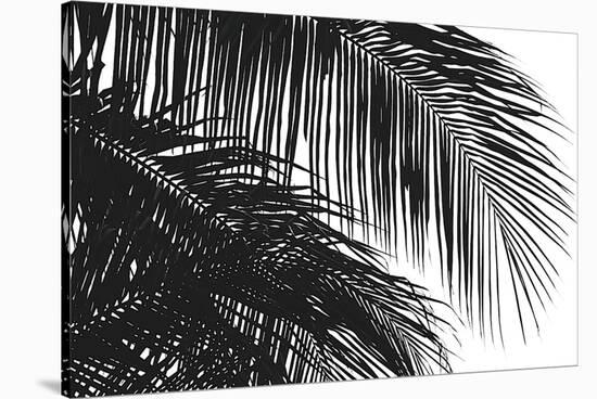 Palms 3-Jamie Kingham-Stretched Canvas
