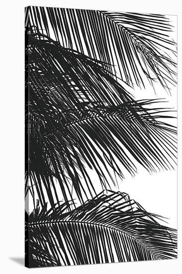 Palms 4-Jamie Kingham-Stretched Canvas