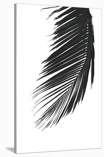 Palms 8-Jamie Kingham-Stretched Canvas