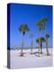 Palms and Beach, Clearwater Beach, Florida, USA-Fraser Hall-Premier Image Canvas