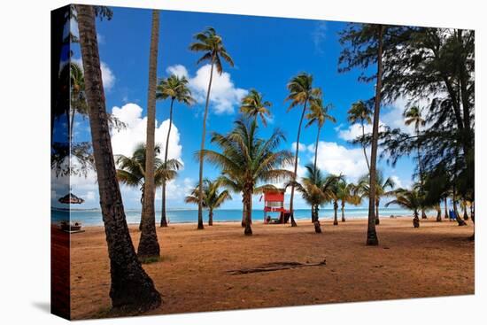 Palms And Lifeguard Hut, Luquillo Beach, Pr-George Oze-Premier Image Canvas