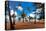 Palms And Lifeguard Hut, Luquillo Beach, Pr-George Oze-Premier Image Canvas