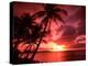 Palms And Sunset at Tumon Bay, Guam-Bill Bachmann-Premier Image Canvas