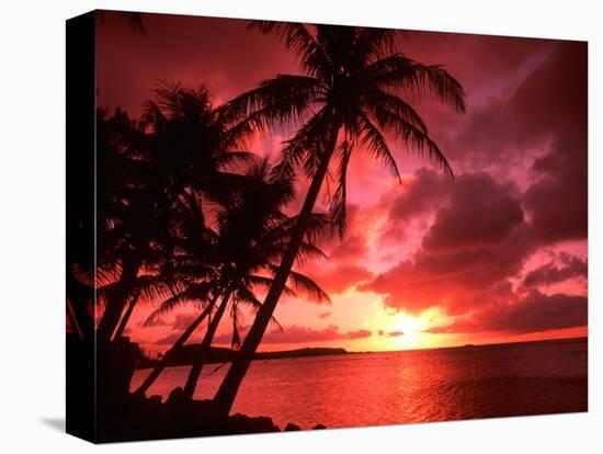 Palms And Sunset at Tumon Bay, Guam-Bill Bachmann-Premier Image Canvas