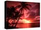 Palms And Sunset at Tumon Bay, Guam-Bill Bachmann-Premier Image Canvas