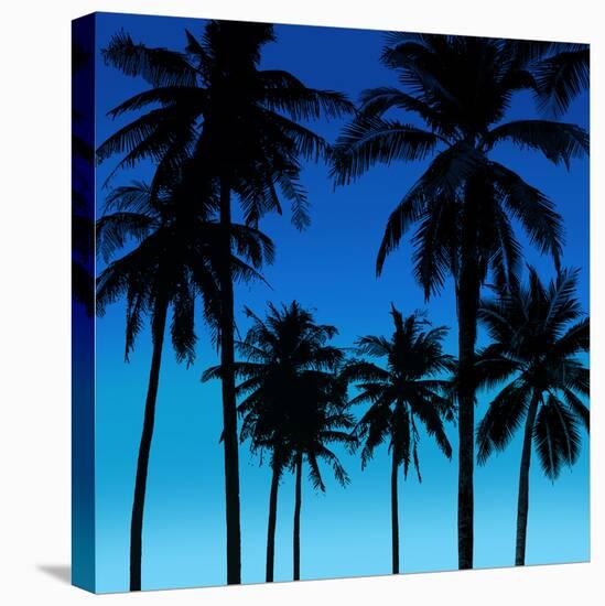 Palms Black on Blue I-Mia Jensen-Stretched Canvas