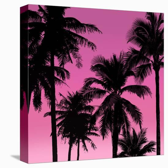Palms Black on Pink II-Mia Jensen-Stretched Canvas