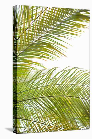 Palms in the Sun I-Karyn Millet-Stretched Canvas