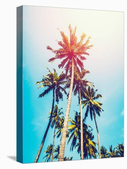 Palms in the Sun-Tai Prints-Premier Image Canvas