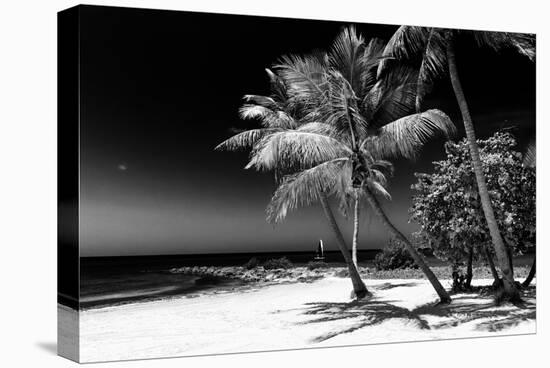 Palms on a White Sand Beach in Key West - Florida-Philippe Hugonnard-Premier Image Canvas