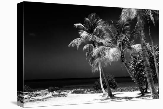 Palms on a White Sand Beach in Key West - Florida-Philippe Hugonnard-Premier Image Canvas