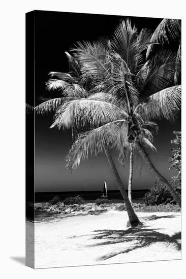 Palms on a White Sand Beach in Key West - Florida-Philippe Hugonnard-Premier Image Canvas