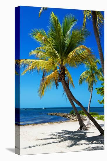 Palms on a White Sand Beach in Key West - Florida-Philippe Hugonnard-Premier Image Canvas