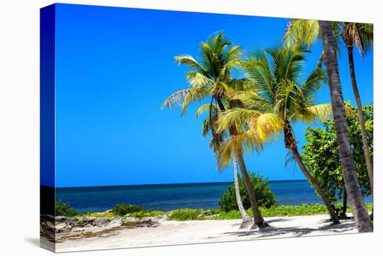 Palms on a White Sand Beach in Key West - Florida-Philippe Hugonnard-Premier Image Canvas