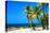 Palms on a White Sand Beach in Key West - Florida-Philippe Hugonnard-Premier Image Canvas