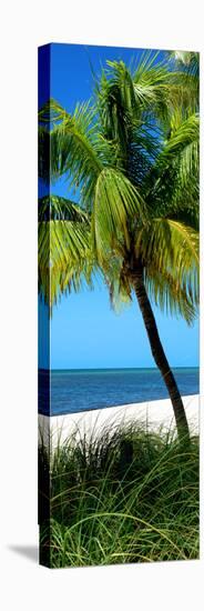 Palms on a White Sand Beach in Key West - Florida-Philippe Hugonnard-Premier Image Canvas