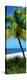 Palms on a White Sand Beach in Key West - Florida-Philippe Hugonnard-Premier Image Canvas