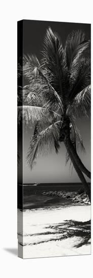 Palms on a White Sand Beach in Key West - Florida-Philippe Hugonnard-Premier Image Canvas