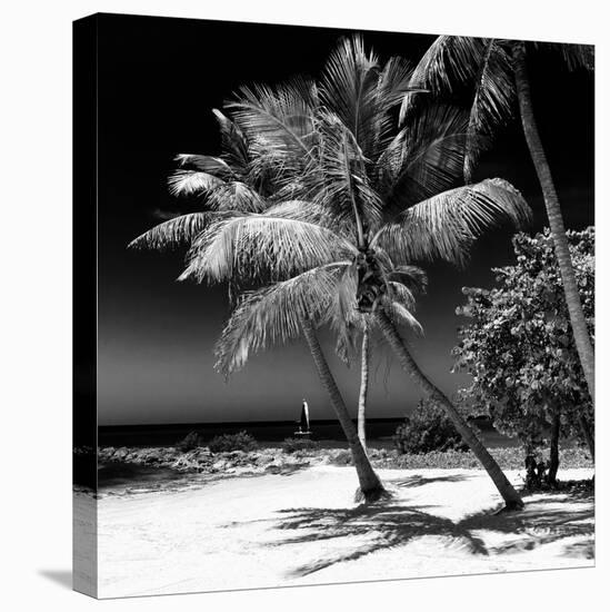 Palms on a White Sand Beach in Key West - Florida-Philippe Hugonnard-Premier Image Canvas