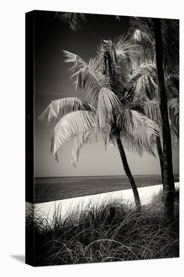 Palms on a White Sand Beach in Key West - Florida-Philippe Hugonnard-Premier Image Canvas