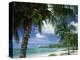 Palms on Shore, Cayman Kai Near Rum Point, Grand Cayman, Cayman Islands, West Indies-Ruth Tomlinson-Premier Image Canvas