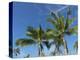 Palms on Waikoloa Beach, Anaeho'omalu bay, Kona, Hawaii-Maresa Pryor-Premier Image Canvas