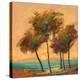 Palms Setting Sun-Michael Tienhaara-Stretched Canvas