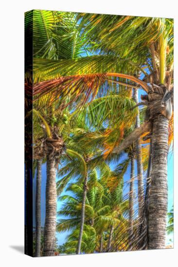 Palms Vertical-Robert Goldwitz-Premier Image Canvas