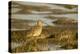 Palo Alto Baylands Nature Preserve, California, USA. Long-billed curlew walking in a tidal mudflat.-Janet Horton-Premier Image Canvas