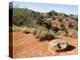 Palo Duro State Park, Near Amarillo, Texas, USA-Ethel Davies-Premier Image Canvas