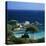Palombaggia Beach, Near Porto Vecchio, South East Corsica, Corsica, France, Mediterranean, Europe-Stuart Black-Premier Image Canvas