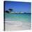 Palombaggia Beach, Near Porto Vecchio, South East Corsica, Corsica, France, Mediterranean, Europe-Stuart Black-Premier Image Canvas