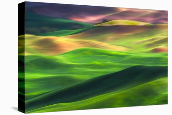 Palouse 1-Ursula Abresch-Premier Image Canvas