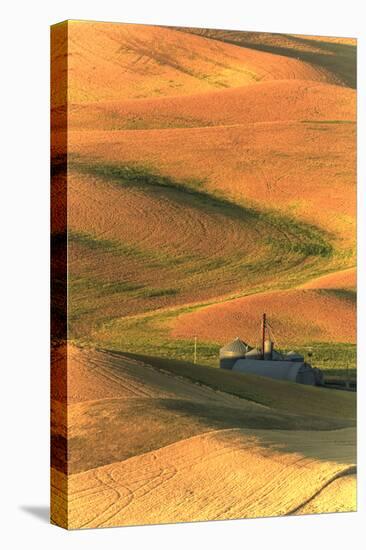 Palouse Area of Eastern Washington, USA-Stuart Westmorland-Premier Image Canvas