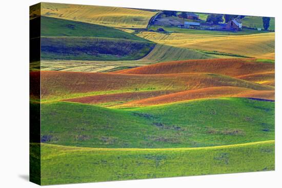 Palouse Area of Eastern Washington, USA-Stuart Westmorland-Premier Image Canvas