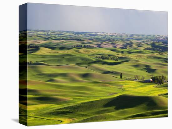 Palouse Farmland, Whitman County, Washington, USA-Jamie & Judy Wild-Premier Image Canvas