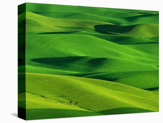 Palouse Hills-Darrell Gulin-Premier Image Canvas