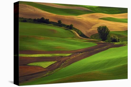 Palouse, Steptoe Butte, Agriculture Patterns, Whitman County, Washington, USA-Michel Hersen-Premier Image Canvas