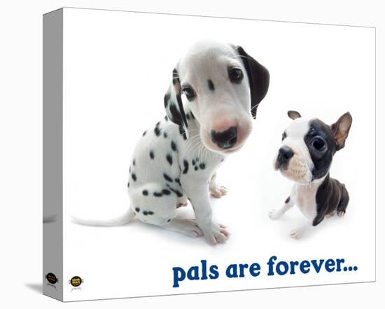 Pals Are Forever-Yoneo Morita-Stretched Canvas