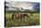 Pammie’s Pasture-Barry Hart-Stretched Canvas