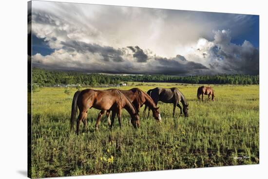 Pammie’s Pasture-Barry Hart-Stretched Canvas