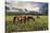 Pammie’s Pasture-Barry Hart-Stretched Canvas