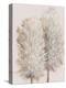 Pampas Grass III-Tim OToole-Stretched Canvas