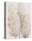 Pampas Grass IV-Tim OToole-Stretched Canvas