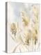 Pampas Grasses III-Katrina Pete-Stretched Canvas