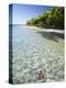 Panama, Bocas Del Toro Province, Colon Island Star Beach, Star Fish in Sea-Jane Sweeney-Premier Image Canvas