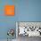 Panda on Orange-Lisa Kroll-Stretched Canvas displayed on a wall